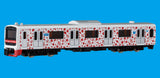 TRANE N Scale Train No. 44 Izukyu 3000 Series Aloha Train