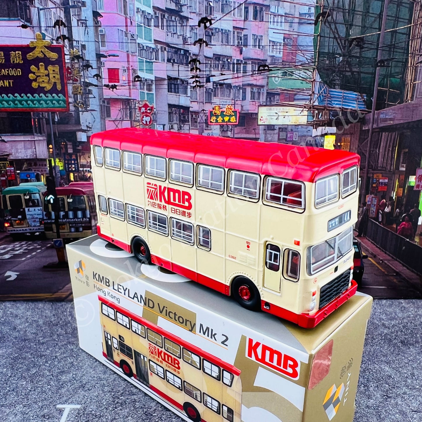 TINY 微影 55 KMB LEYLAND Victory Mk 2 九巴利蘭勝利二型 (TAI HANG TUNG 4A 大坑東) KMB2020122