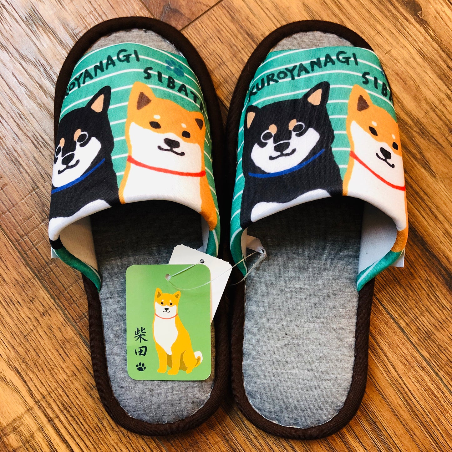 Kuroyanagi and Sibata Slipper FHT-S01