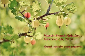 March Break Holiday