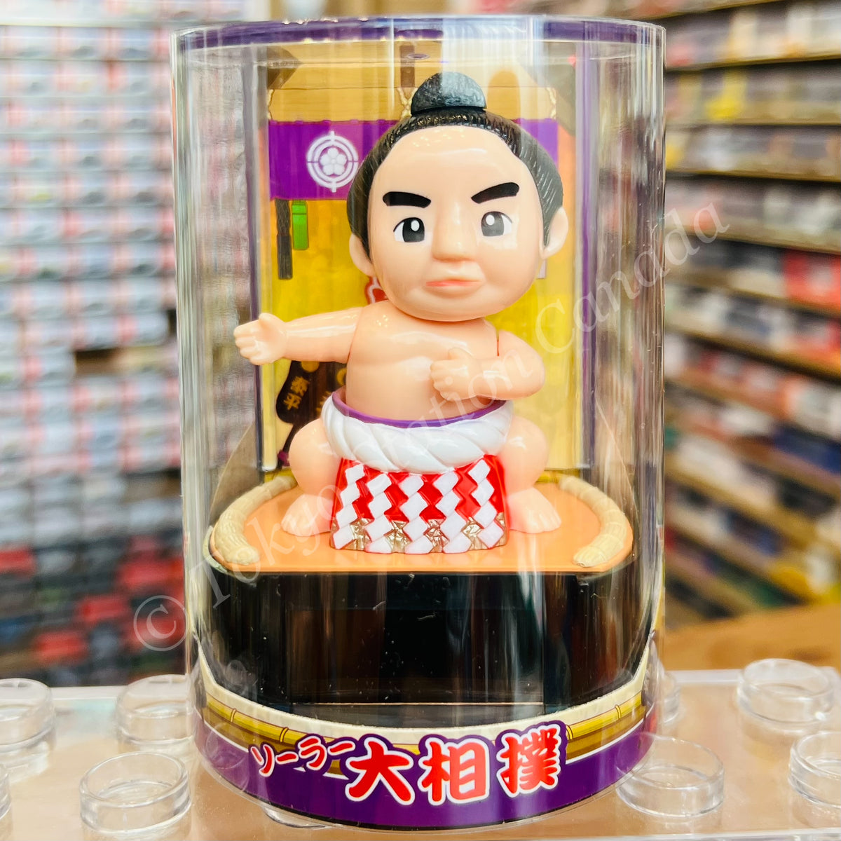 Solar SUMO 4534321230120 – Tokyo Station