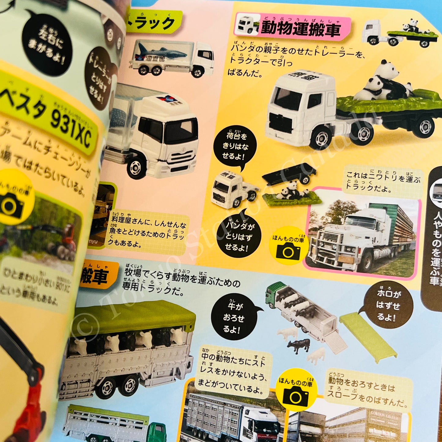 TOMICA Collection 2024 Japanese Book Guide