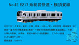 TRANE N Scale Train No. 45 Ｅ２１７Series Sobu Rapid / Yokosuka Line