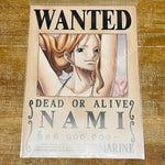 One Piece Nami Cover Folder