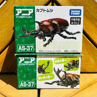 Takara Tomy ANIA Animal Adventure - AS37 Beetle/Trypoxylus dichotomus