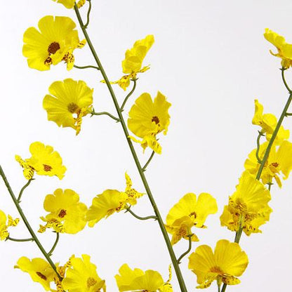 Artificial Flowers - Yellow MY-5468L(Y)