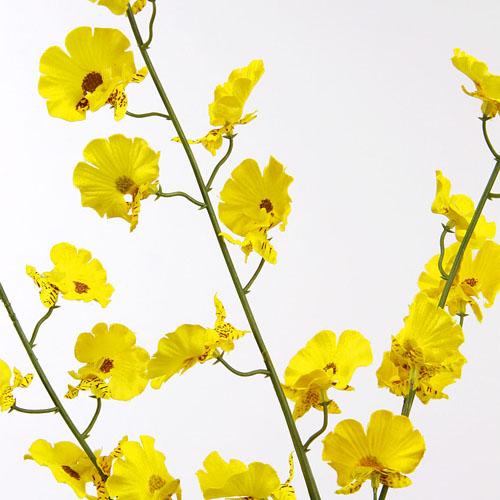 Artificial Flowers - Yellow MY-5468L(Y)