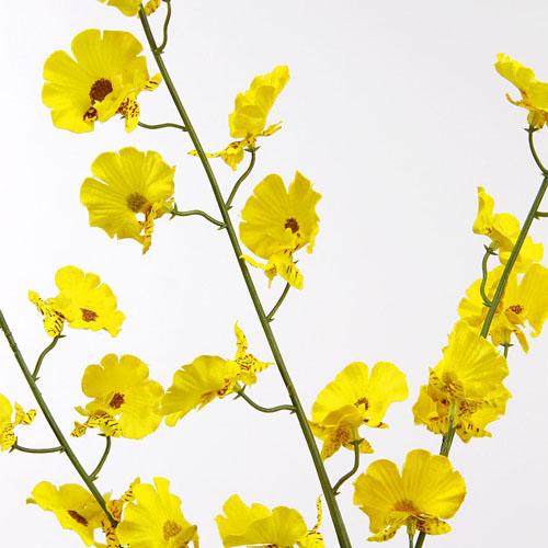 Artificial Flowers - Orchids yellow
