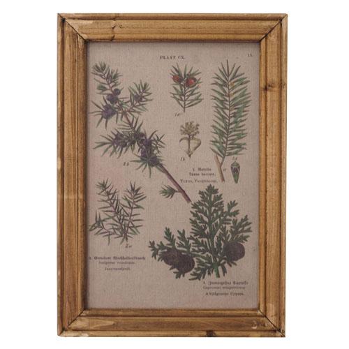Frame Posters Botanical (02-00)