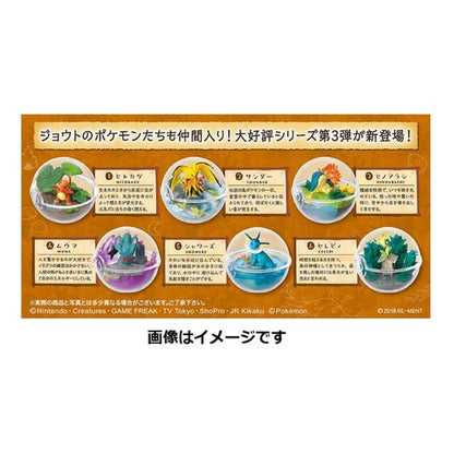Pokemon Terrarium Collection Vol#3