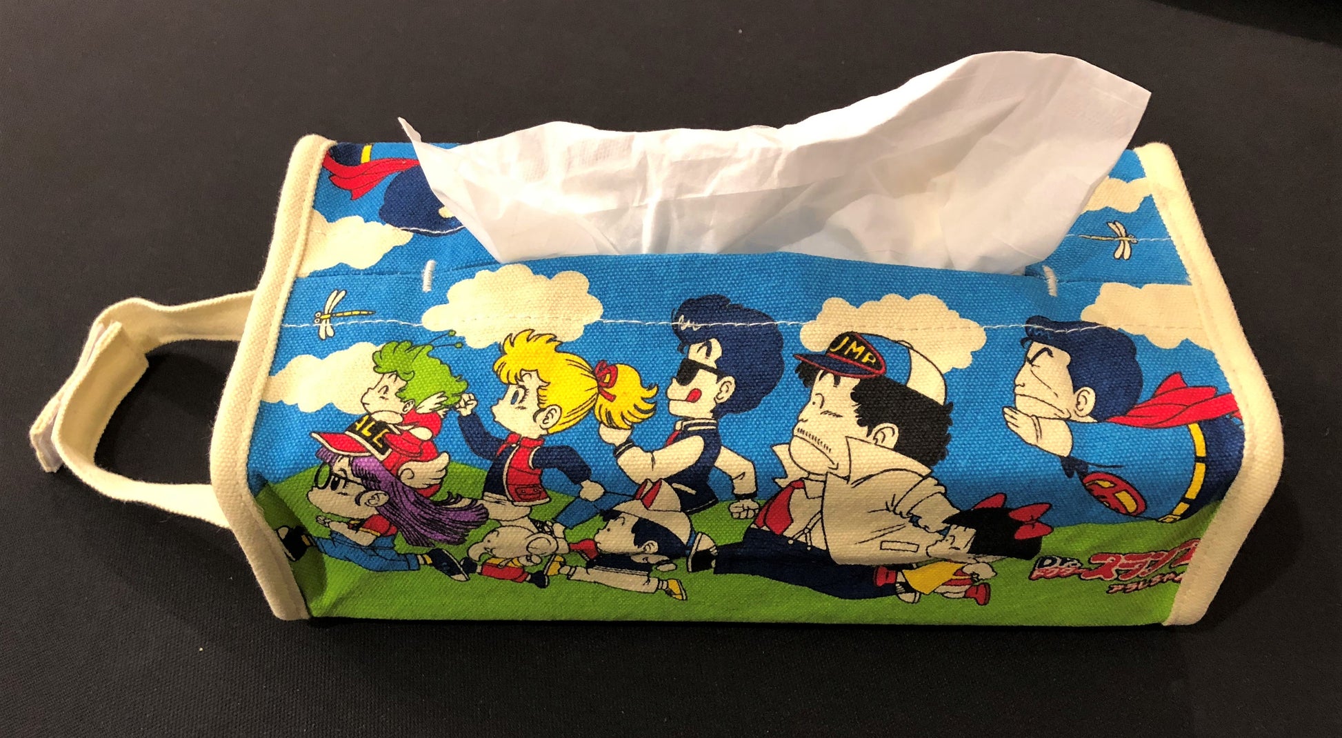 Dr. Slump Tissue Box Holder - TEDR853