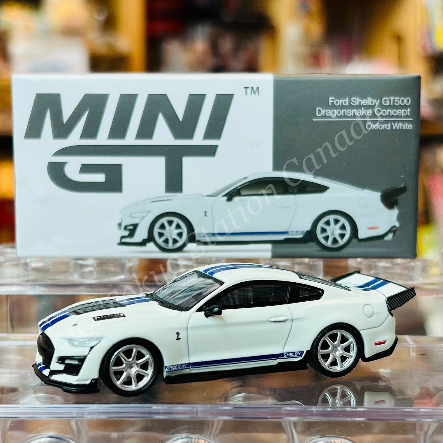 MINI GT 1/64 Shelby GT500 Dragon Snake Concept  Oxford White LHD MGT00318-L