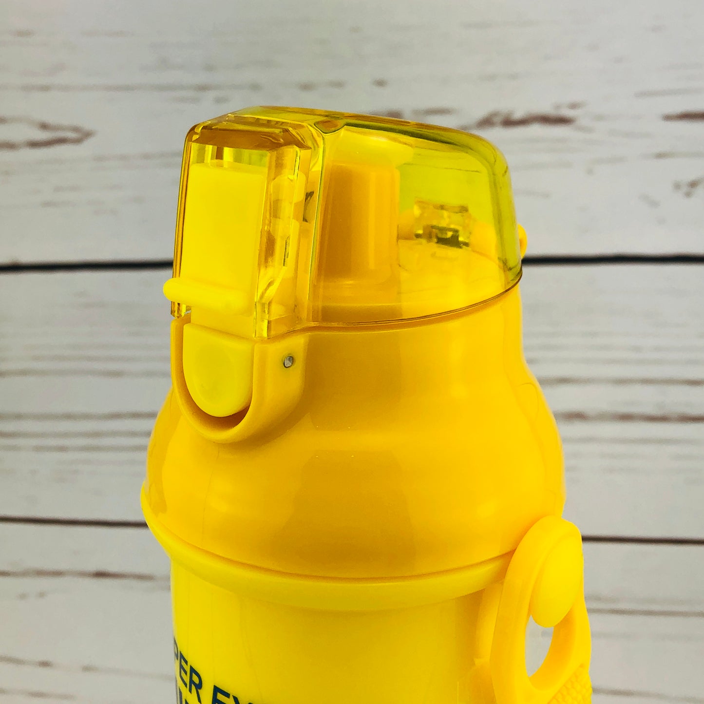 Super Express Shinkansen Water Bottle 480ml by Risseisha 立誠社 Made in Japan