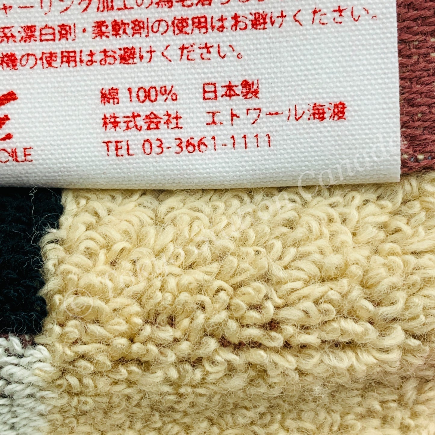 RAINBOW BEAR Cotton Towel 33cm x 36cm by imabari Japan (Made in Japan)