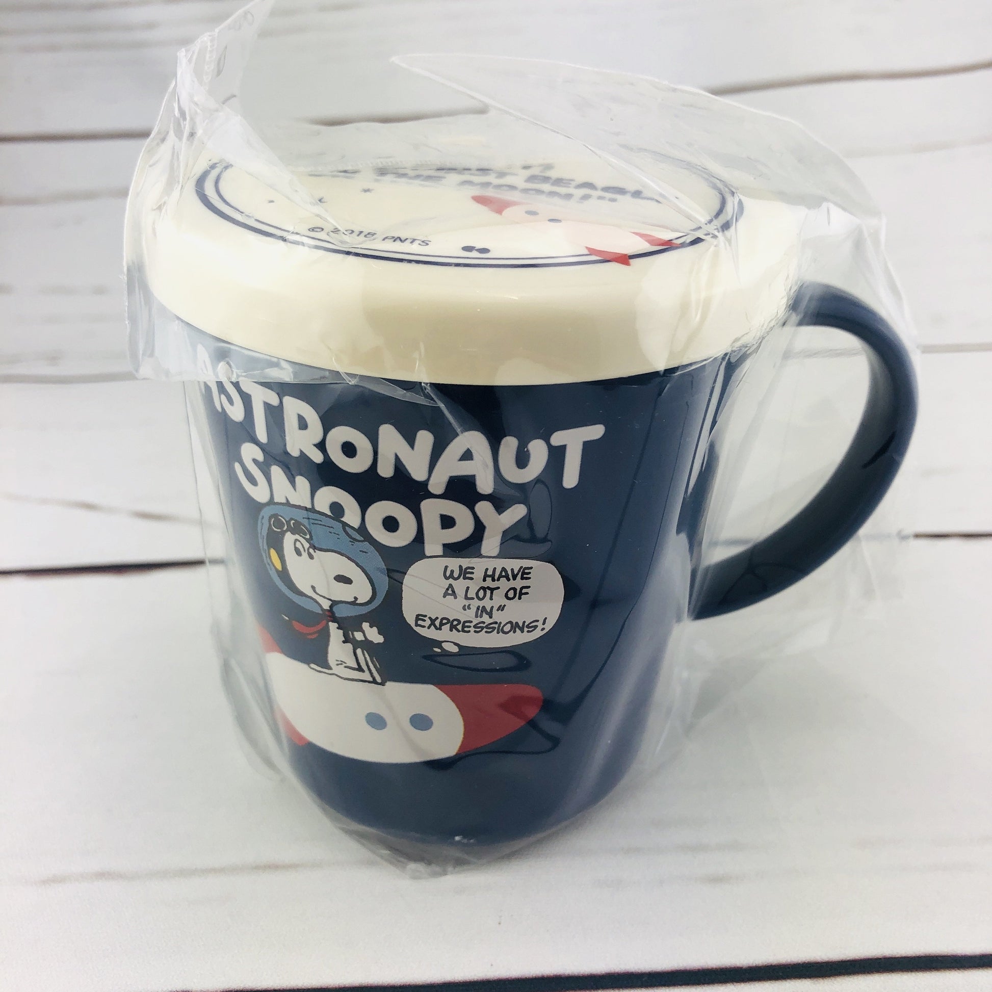 Astronaut Snoopy Lunch Box Set Made in Japan