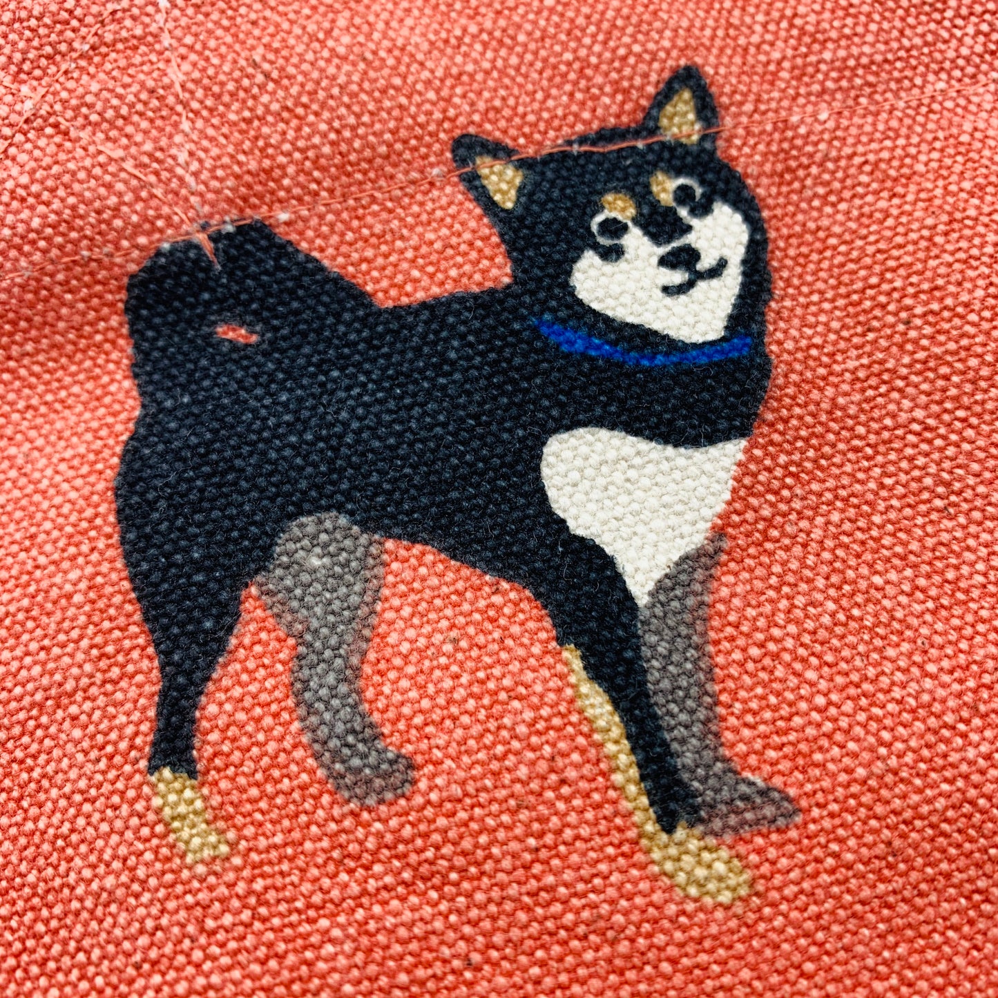 Mini Tote Bag