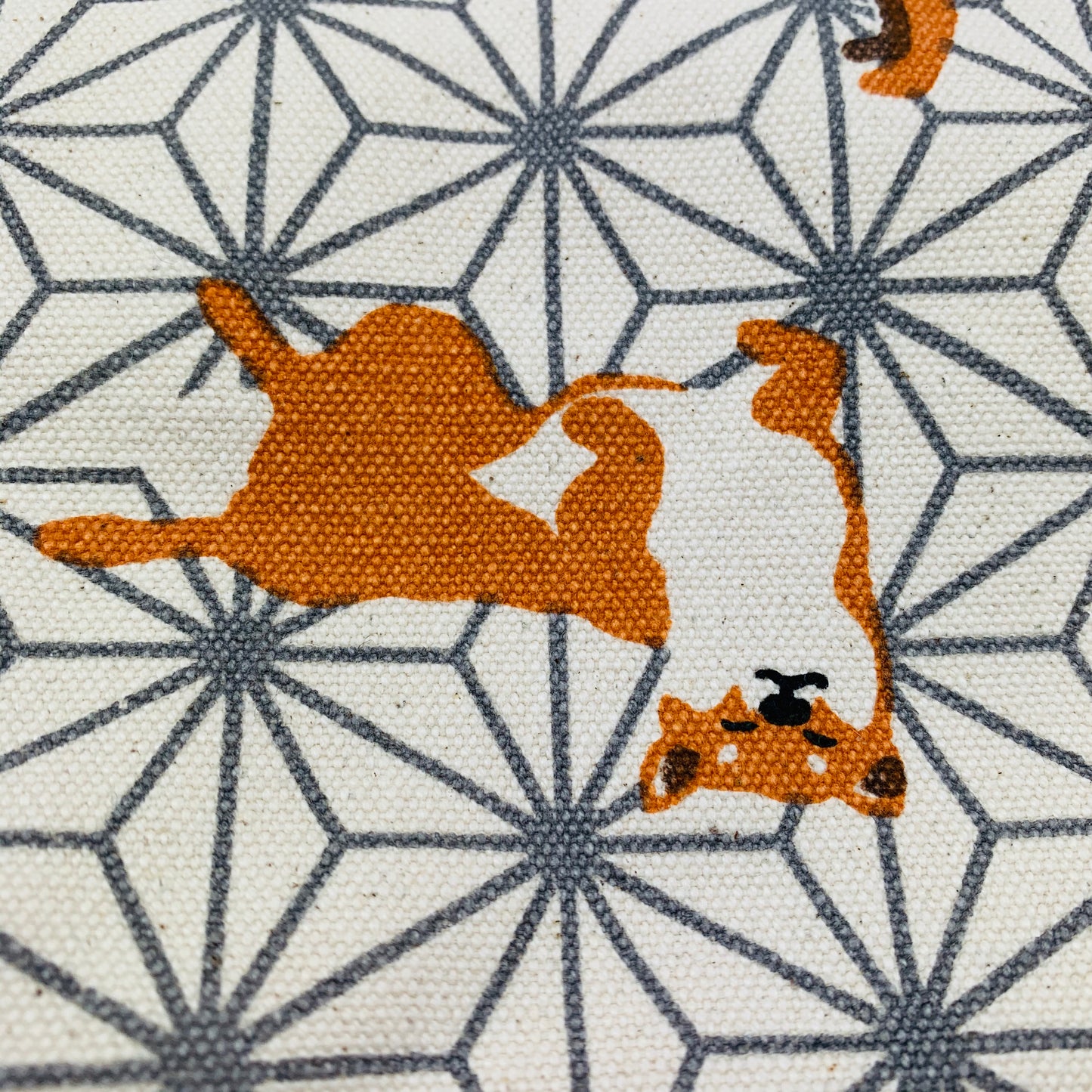 Mini Tote Bag