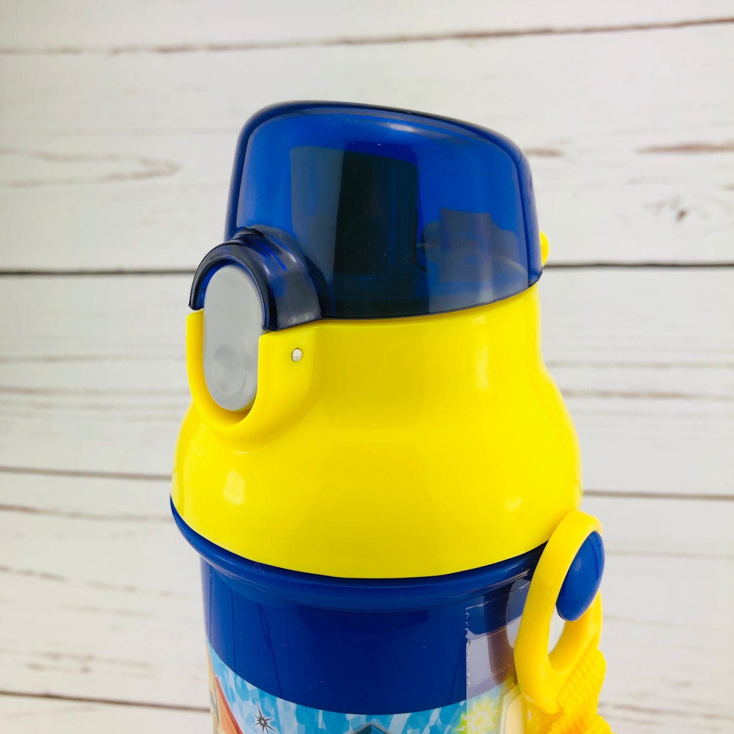Pokemon Sun & Moon Water Bottle 480ml by Skater PSB5SAN Made in Japan