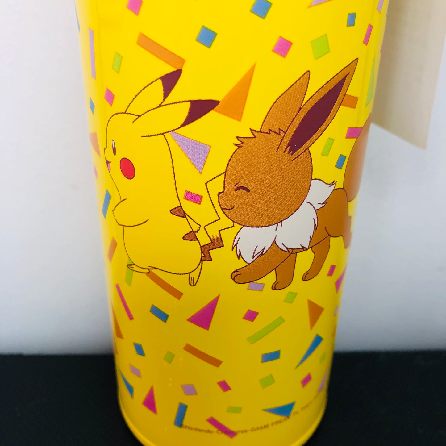 Pokemon Vaccum Insulated Bottle 0.48L PMLC1094