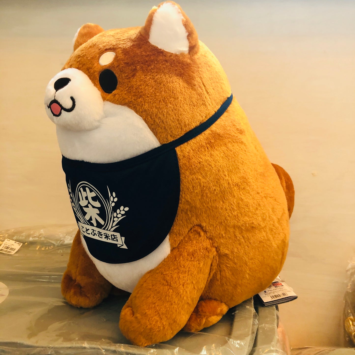 Chuken Mochi Shiba Plush Toy by SK Japan 13267 Brown