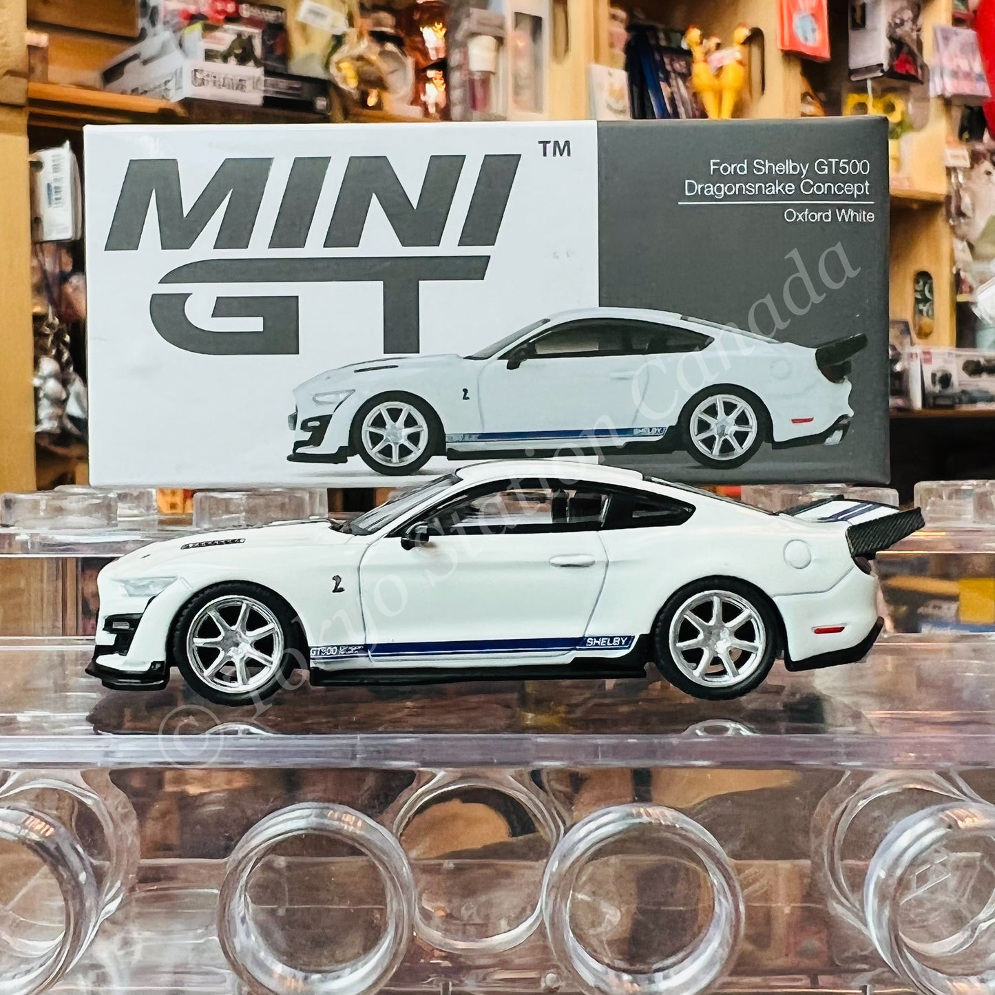 MINI GT 1/64 Shelby GT500 Dragon Snake Concept  Oxford White LHD MGT00318-L