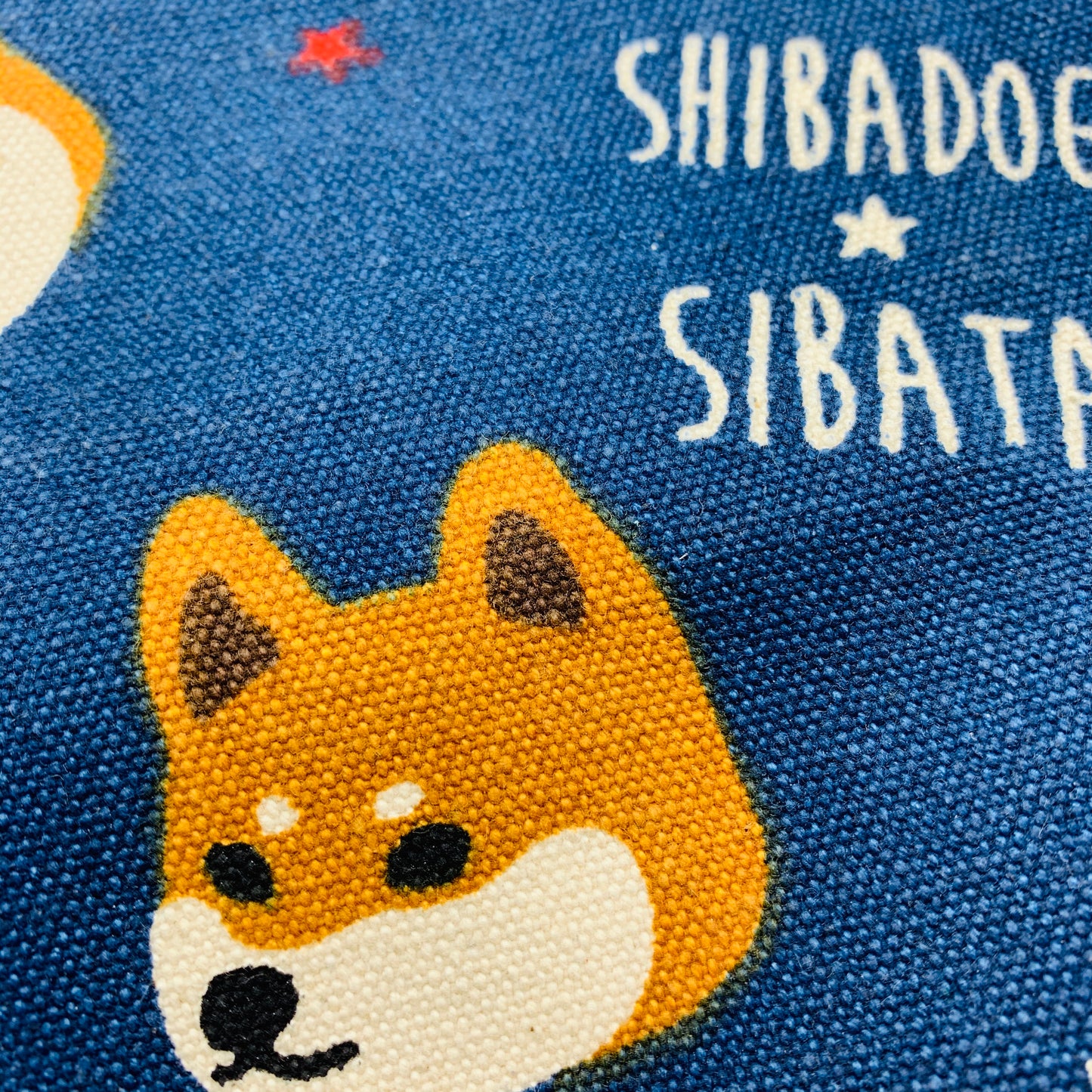 Mini Tote Bag