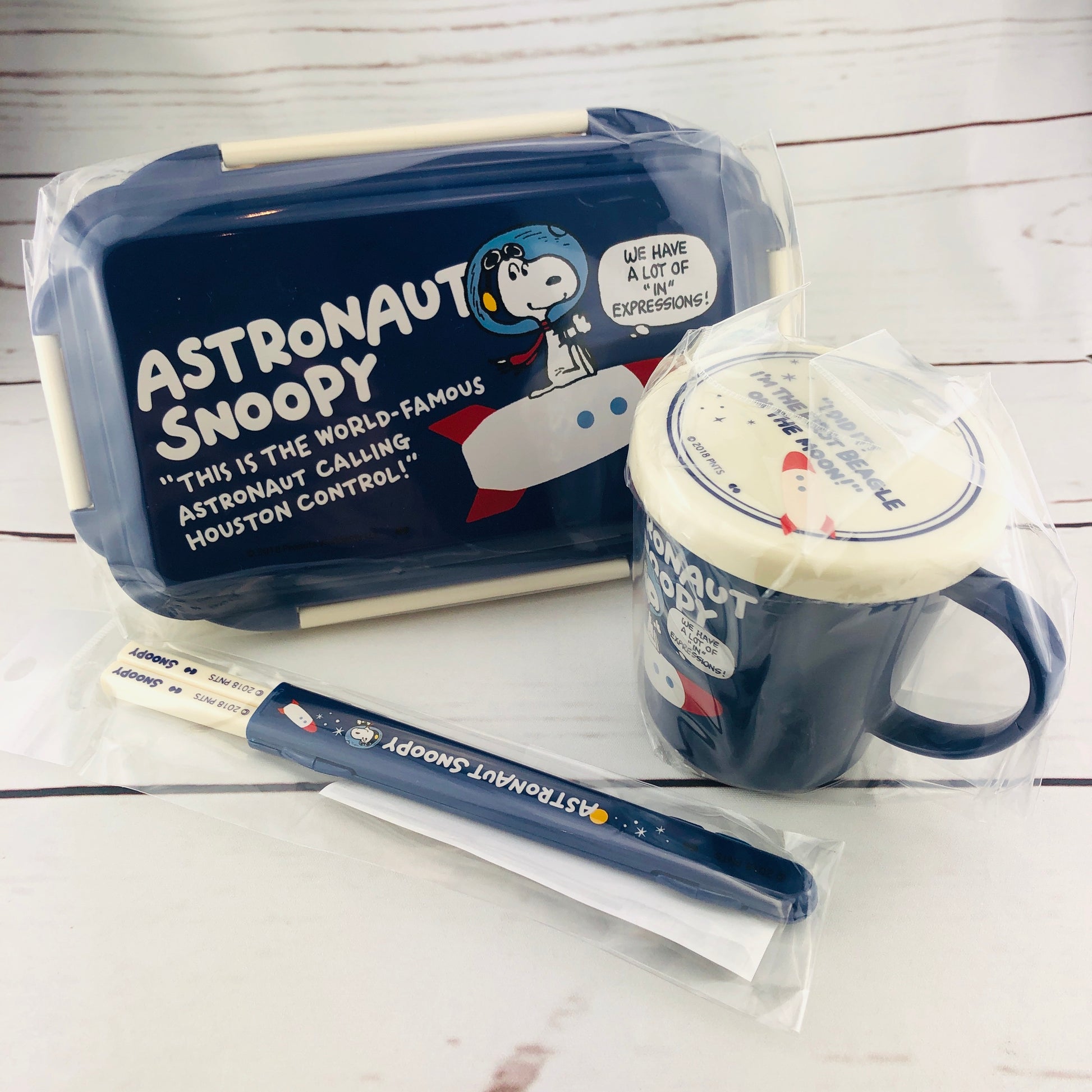 Astronaut Snoopy Lunch Box Set Made in Japan