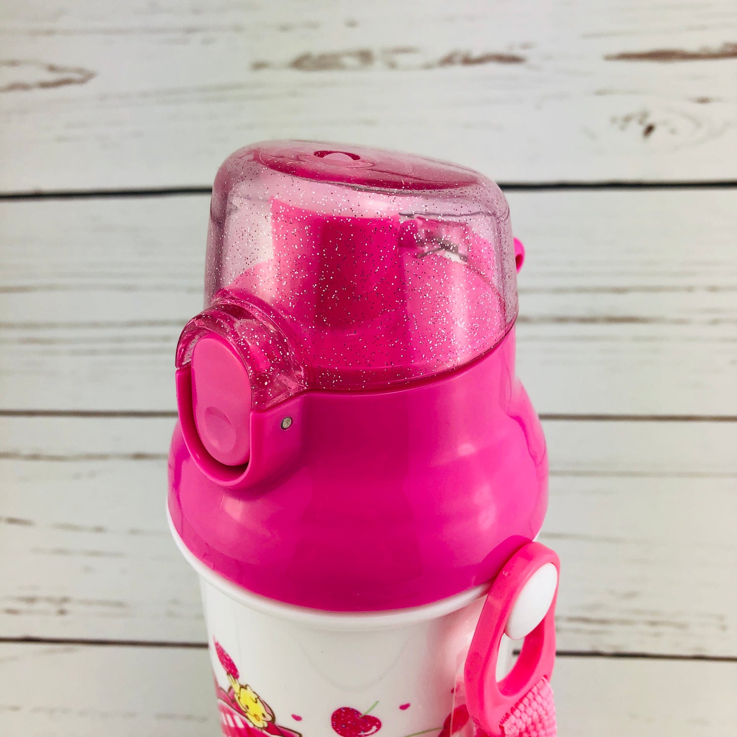 My Melody Water Bottle 480ml by Skater PSB5SAN Made in Japan